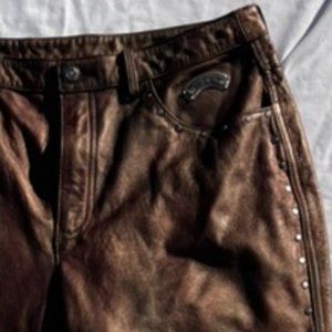 Harley-Davidson Metallic Leather (real) Pants